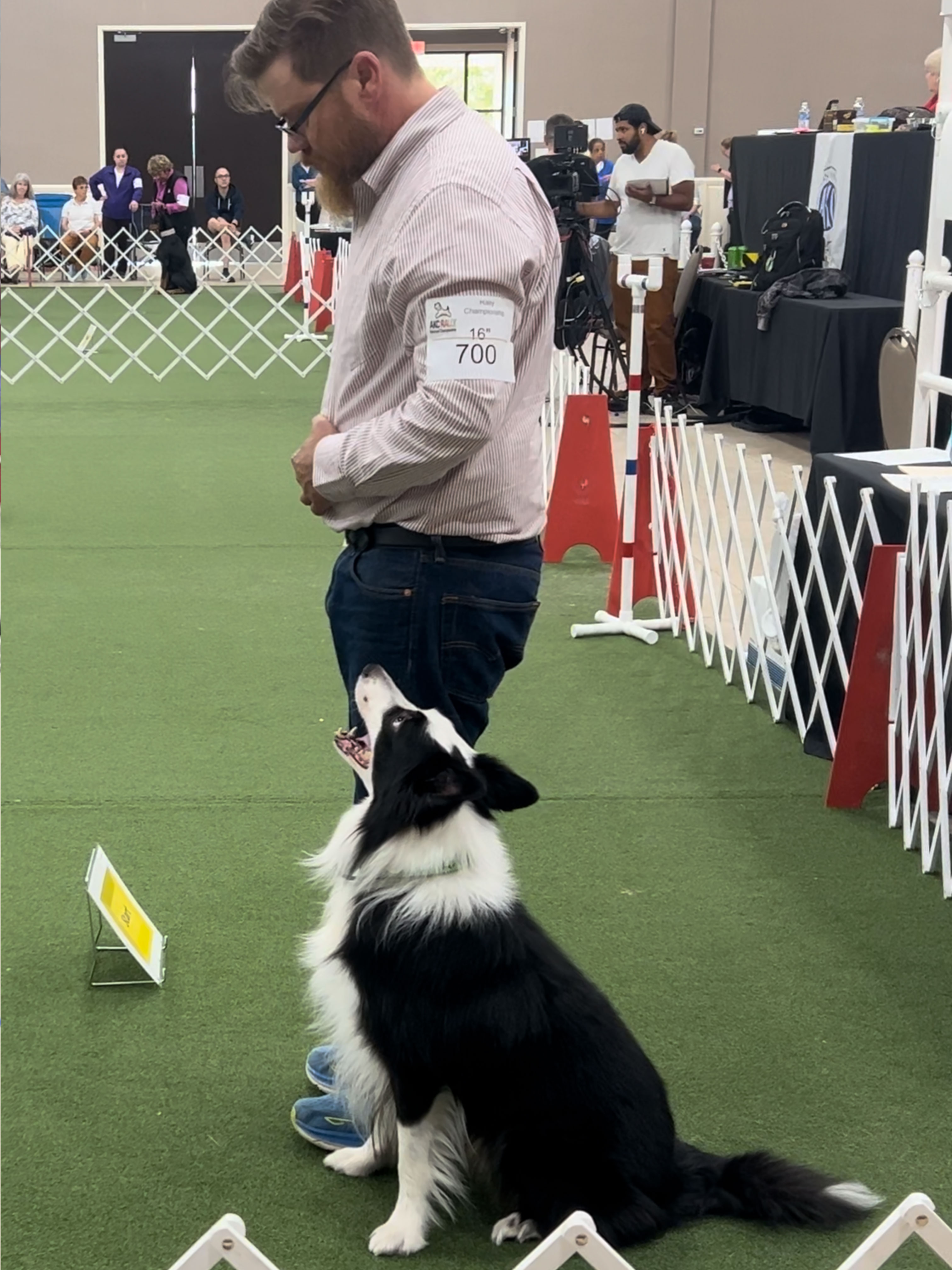 Training a Dog